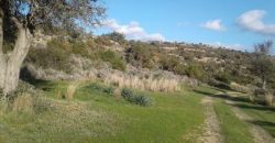 Limassol Pissouri Touristic Land For Sale BSH13390