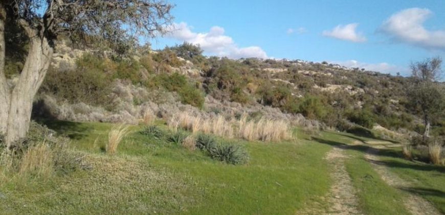 Limassol Pissouri Touristic Land For Sale BSH13390