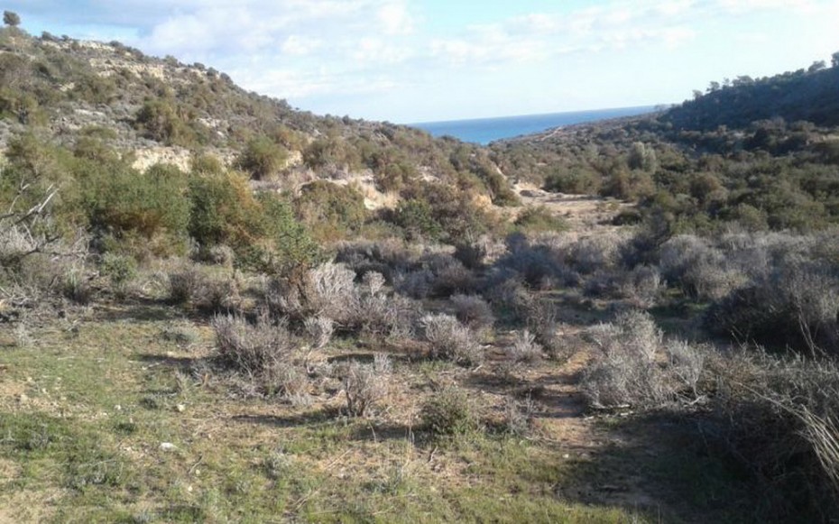 Limassol Pissouri Touristic Land For Sale BSH13390