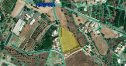 Paphos Argaka Residential Land  For Sale CPNC2786