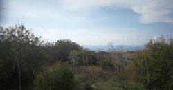 Paphos Armou  Land For Sale VLSJASLV