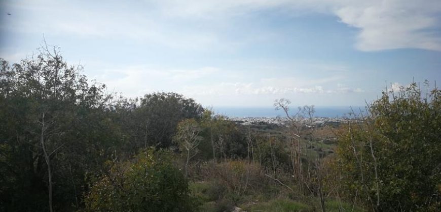 Paphos Armou  Land For Sale VLSJASLV