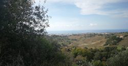 Paphos Armou  Land For Sale VLSJASLV