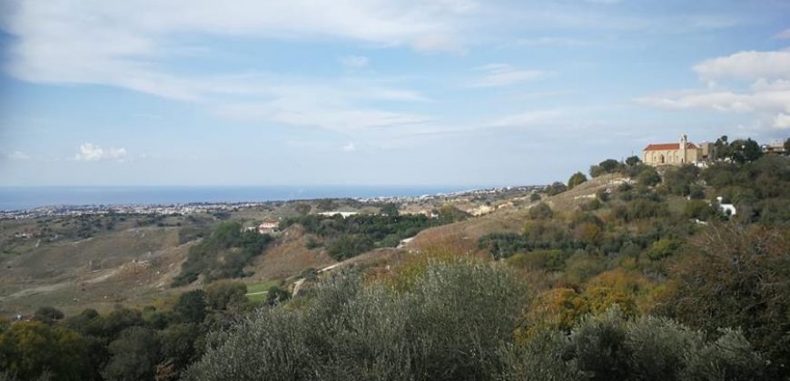 Paphos Armou  Land For Sale VLSJASLV