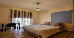 Paphos Emba 3Bdr Villa For Sale VLSJOPCHSLV