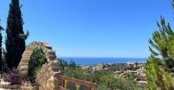 Paphos Kamares 3Bdr Villa For Sale VLSVPKAMSLV