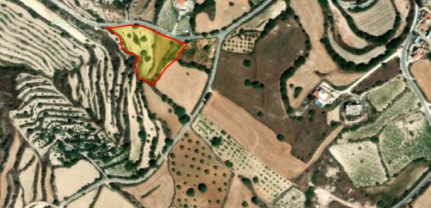 Paphos Koili Residential Land  For Sale CPNC2784