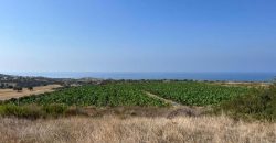 Paphos Kouklia  Land For Sale VLSOKTCSLV