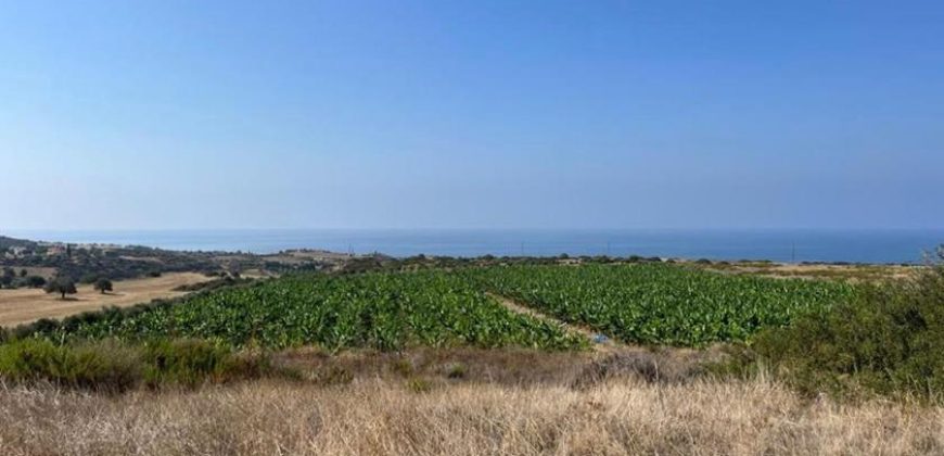 Paphos Kouklia  Land For Sale VLSOKTCSLV