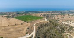 Paphos Kouklia  Land For Sale VLSOKTCSLV