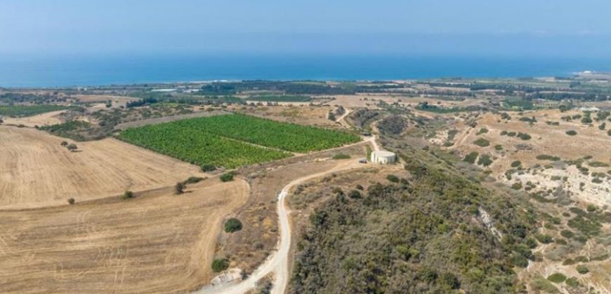 Paphos Kouklia  Land For Sale VLSOKTCSLV