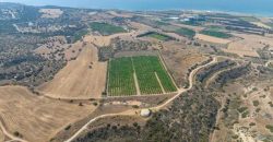 Paphos Kouklia  Land For Sale VLSOKTCSLV