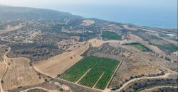 Paphos Kouklia  Land For Sale VLSOKTCSLV