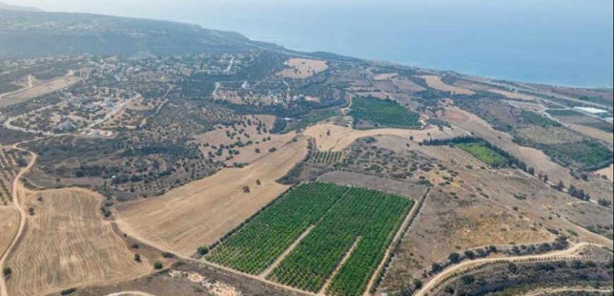 Paphos Kouklia  Land For Sale VLSOKTCSLV