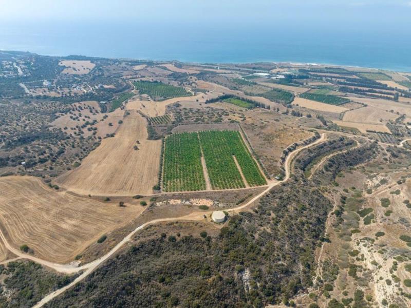 Paphos Kouklia  Land For Sale VLSOKTCSLV