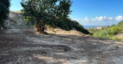 Paphos Pegia Residential Land For Sale BSH39707