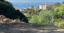 Paphos Pegia Residential Land For Sale BSH39707