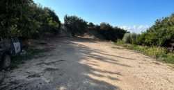 Paphos Pegia Residential Land For Sale BSH39707