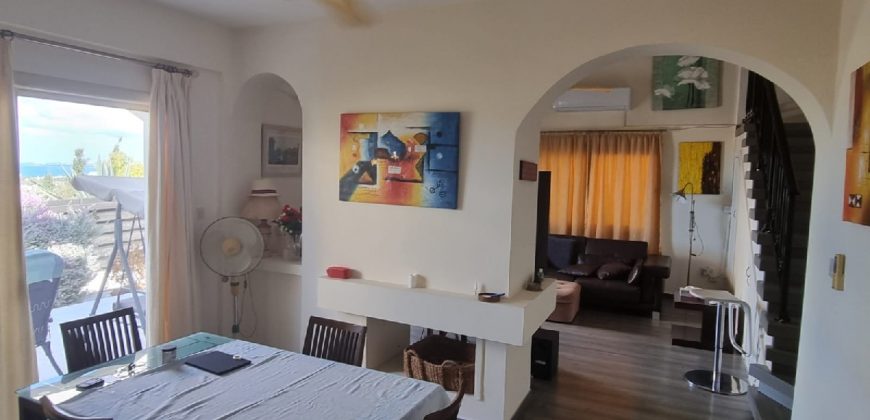 Paphos Chloraka 3 Bedroom House For Sale BC650