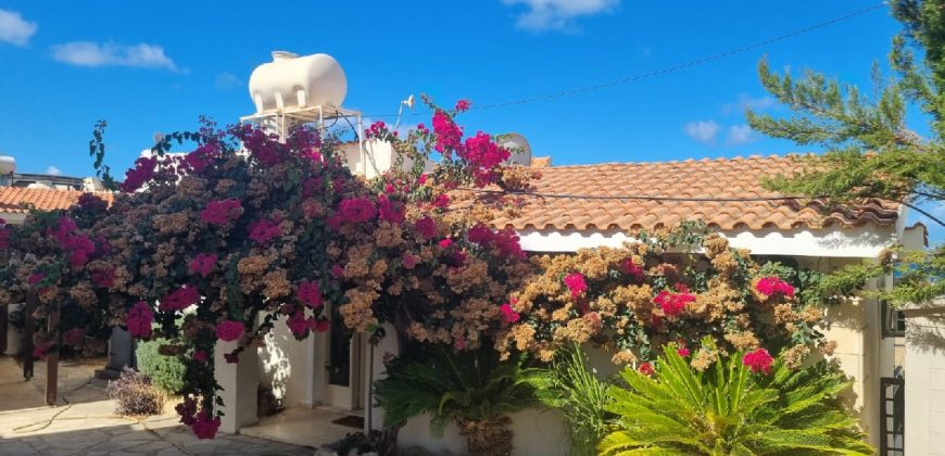 Paphos Chloraka 3 Bedroom House For Sale BC650