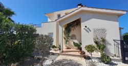 Paphos Pegeia 3 Bedroom House For Sale DLHP0584