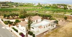 Paphos Pegeia 4 Bedroom House For Sale DLHP0181