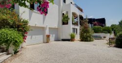 Paphos Pegeia 4 Bedroom House For Sale DLHP0583S