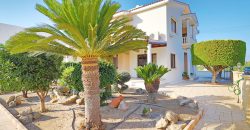 Paphos Emba 5Bdr Detached Villa For Sale SKR17456