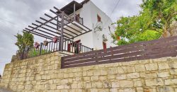 Paphos Kritou Terra 3Bdr Detached Villa For Sale SKR17477