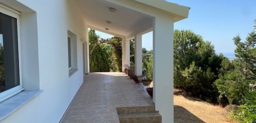 Paphos Armou 4Bdr Detached For Sale LTR44378