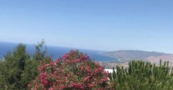 Paphos Drouseia 3Bdr Detached Villa For Sale KTM103737