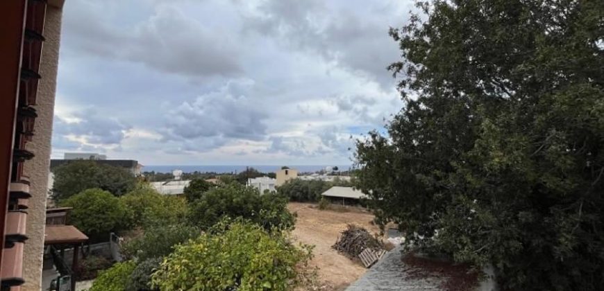 Paphos Emba 3Bdr Villas / Houses For Sale TPH2124