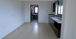 Paphos Emba 4Bdr Villa For Sale NGM4231