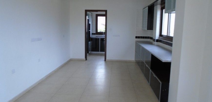 Paphos Emba 4Bdr Villa For Sale NGM4231