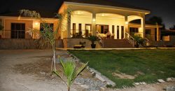 Paphos Kallepia 4Bdr Bungalow For Sale NGM4966