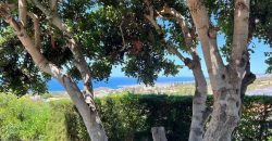 Paphos Kamares 3Bdr Villas / Houses For Sale TPH2781