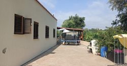 Paphos Kissonerga 4Bdr Bungalow For Sale KTM99748