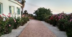 Paphos Kissonerga 5Bdr Villa For Sale NGM12488