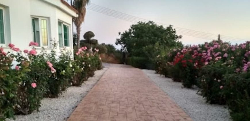 Paphos Kissonerga 5Bdr Villa For Sale NGM12488