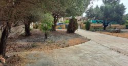 Paphos Kouklia 3Bdr House (Detached) For Sale FCP51607