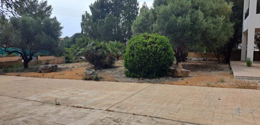 Paphos Kouklia 3Bdr House (Detached) For Sale FCP51607