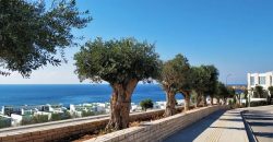 Paphos Pegeia 5Bdr Villa For Sale NGM9306