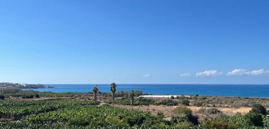 Paphos Peyia Detached Villa 7Bdr For Sale CPNC2988