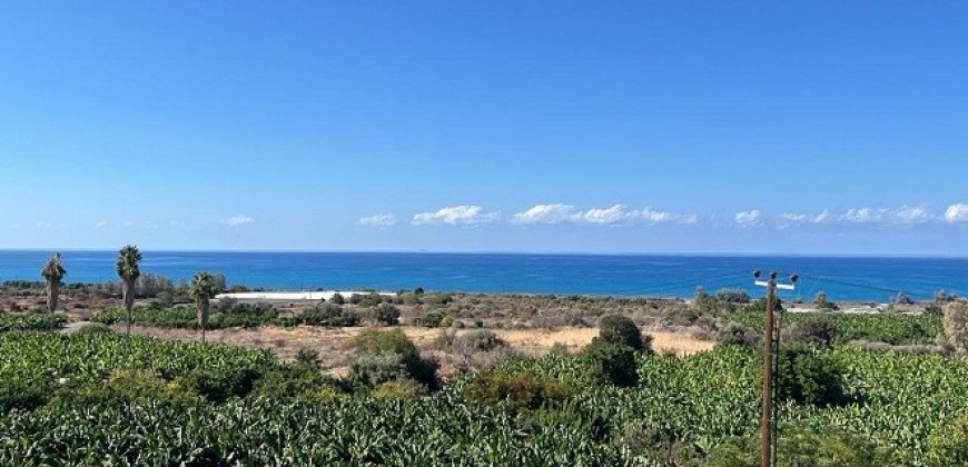 Paphos Peyia Detached Villa 7Bdr For Sale CPNC2988