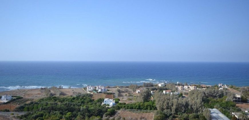 Paphos Pomos 4Bdr Bungalow For Sale NGM12173