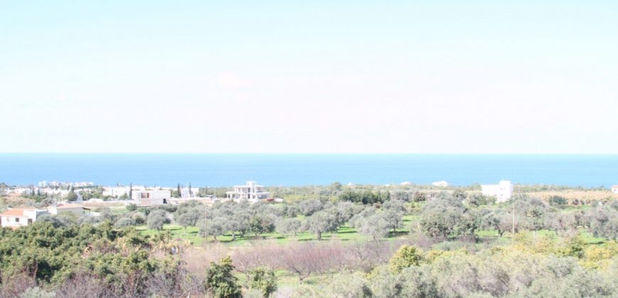 Paphos Sea Caves Pegeia 4Bdr House (Detached) For Sale FCP19821