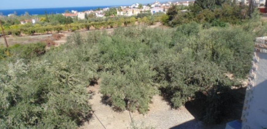 Paphos St George Peyia 5Bdr Detached Villa For Sale KTM19443