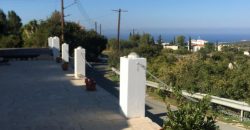 Paphos Tala 3Bdr Bungalow For Sale KTM96962