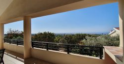 Paphos Empa 5Bdr Villa For Sale UQH1093